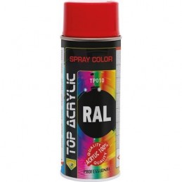 PINTURA SPRAY TOP RAL 2004...