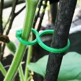 CLIPS PARA TOMATERAS 25...