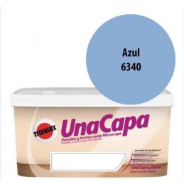 PINTURA PLAS.1 CAP.AZUL...
